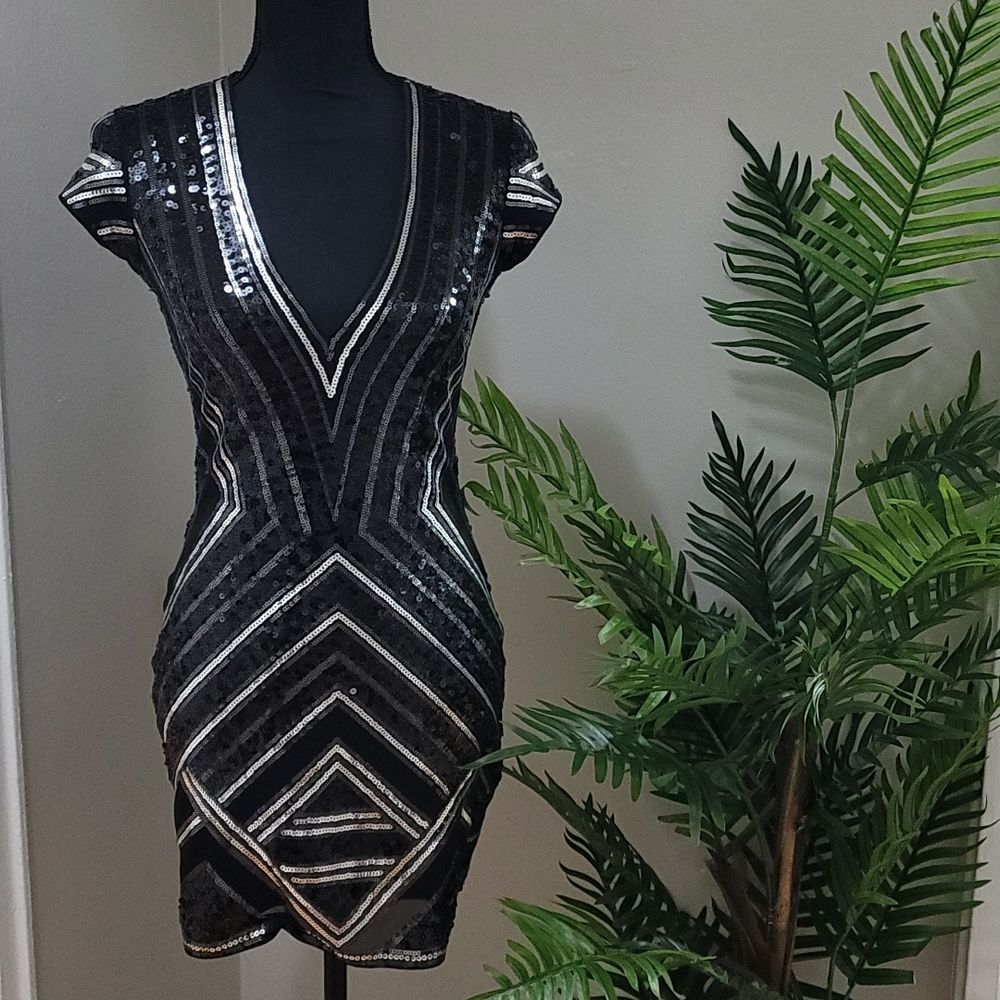 Express Sequins V-neck Dress